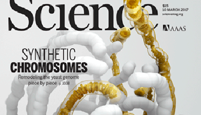 史無前例！中國科學家4篇論文齊上《科學》封面