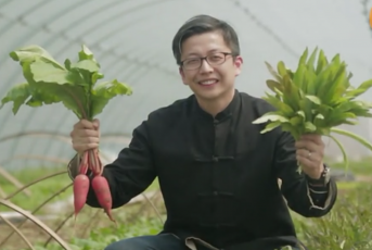 不當外企副總裁，他回農村種“丑菜”