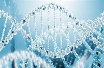 青島合成生物學領域實現重大突破