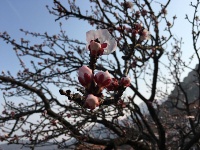 藏碧波于巍峣——嶗頂天心池