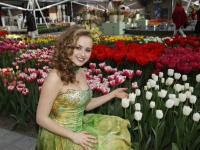 荷蘭庫肯霍夫公園：欣賞郁金香之美