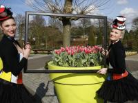 荷蘭庫肯霍夫公園：欣賞郁金香之美