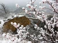 春雪映長城 江河裹銀裝