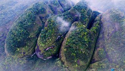 武夷山現(xiàn)“情侶鞋” 大自然都在秀恩愛了