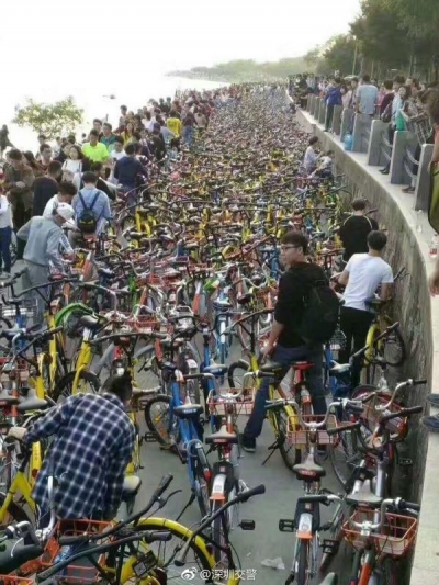 万辆共享单车攻陷深圳湾公园：政府企业连夜开紧急会宣布清场