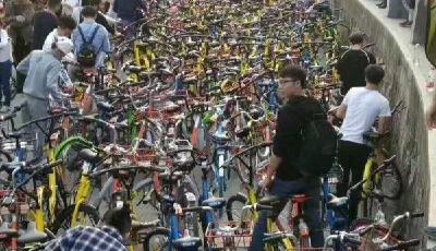 萬(wàn)輛共享單車攻陷深圳灣公園：政府企業(yè)連夜開緊急會(huì)宣布清場(chǎng)