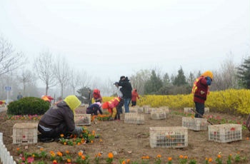 平度今年計(jì)劃投資近7000萬 綠化城區(qū)及對(duì)外交通干道