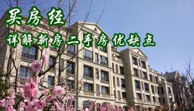 樓市調控期的“買房經”：詳解新房二手房優(yōu)缺點