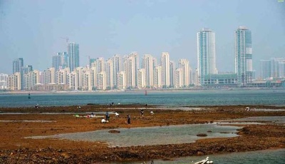 青島西海岸新區(qū)在全國率先成立國家新區(qū)研究院