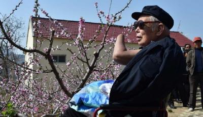 致敬！十里桃花 如你所愿