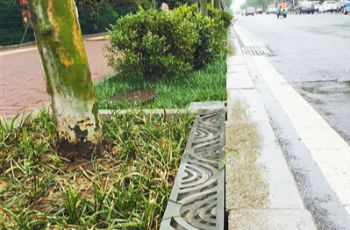 青島首條"海綿路"雨中"過關(guān)" 年吸水量可達(dá)84方