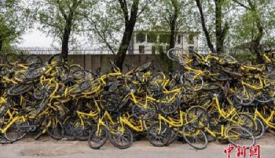 “共享單車”or“共享圍城”？ 多地已對其亮紅燈
