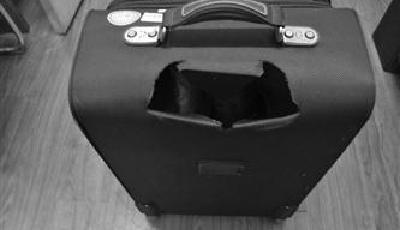 外國黑幫社團頭目在沈陽販毒被抓 情節如同電影