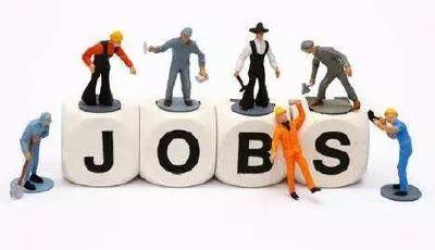 就業藍皮書：美術學、法學等成本科就業紅牌專業