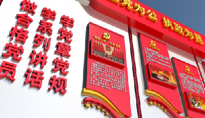 社區黨建工作須跟上形勢發展