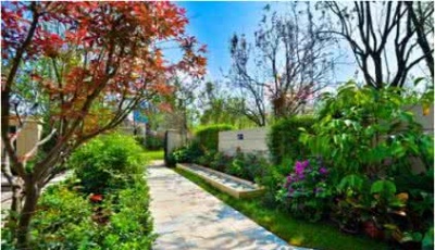 龍湖地產(chǎn)青島土拍“連下兩城” 膠州西海岸兩區(qū)各有斬獲