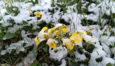 驚喜不驚喜？熱浪襲擊全國，四川卻下雪了