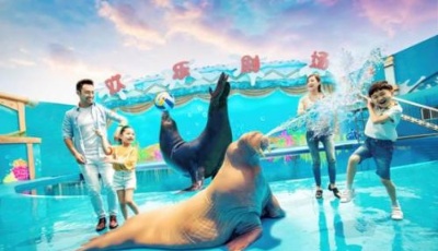 嬉游青島海洋節(jié) 極地動(dòng)物也瘋狂