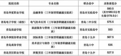 全市普职融通班录取分全部超500