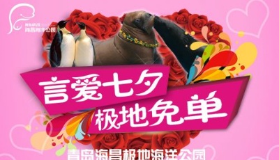 言愛七夕，極地買單：約上最愛的TA免費來看“大馬戲”