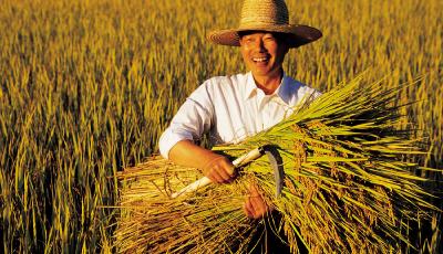 中央財政投15億 培育新型職業(yè)農(nóng)民100萬人以上