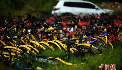 多城市叫停 共享單車投放“急剎車”釋放哪些信號(hào)