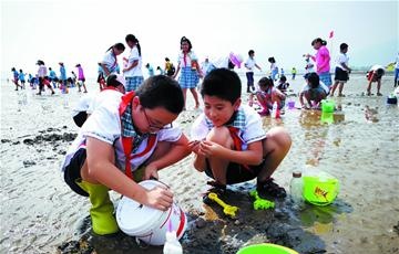 说走就走研学旅行火啦