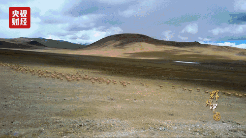 輝煌中國第四集《綠色家園》