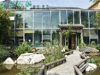 墨荷小鎮(zhèn)，喧鬧都市中的寧靜