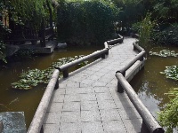 墨荷小鎮(zhèn)，喧鬧都市中的寧靜
