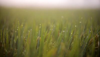 寒露映秋 秋意漸濃寒意起