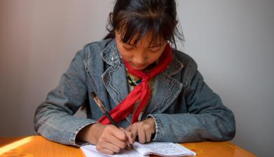 （砥礪奮進的五年）怒江金滿村：“搬”出新希望