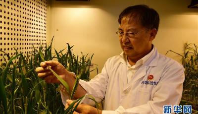 【十九大時光】肩負(fù)重托 不辱使命——來自基層蹲點現(xiàn)場的報道