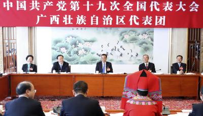 李克強參加黨的十九大廣西壯族自治區(qū)代表團討論