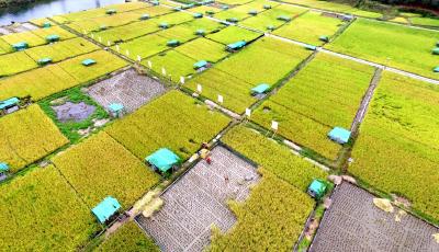 （十九大報告解讀）“育幼”“扶弱”拓展改善民生新內(nèi)涵