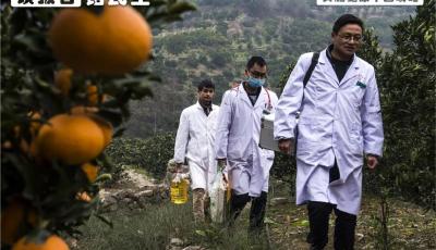 實施健康中國戰略