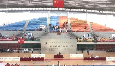  少年强则国强！青岛市中小学生体育联赛首届武术表演赛开幕