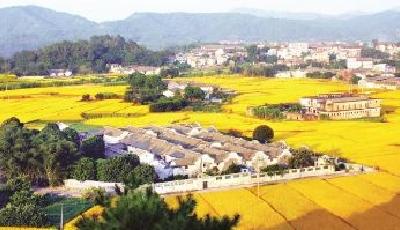 南方時(shí)論：奮力譜寫(xiě)社會(huì)主義現(xiàn)代化新征程的壯麗篇章