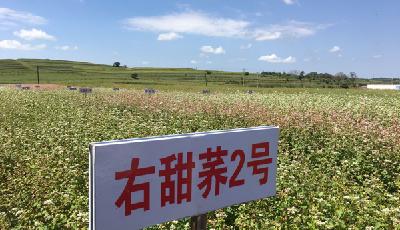 【領航新征程】山西省將大力推進農業標準化生產