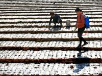 組圖：立冬到 農事忙