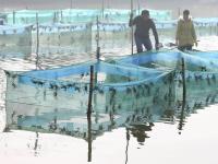 組圖：立冬到 農事忙