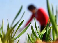 組圖：立冬到 農事忙