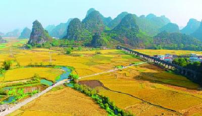 【領(lǐng)航新征程】讓黨的十九大精神在基層落地生根