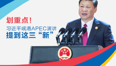 【圖解】劃重點！習近平峴港APEC演講提到這三“新”