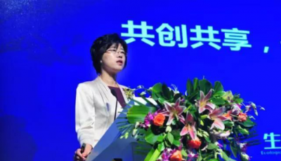 譚麗霞：金融，不止于金融