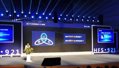 專訪海爾金控譚麗霞：“產業投行”引領實體升級