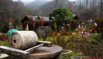 【領航新征程】山水清韻花橋村 鄉(xiāng)村旅游富民路（圖）