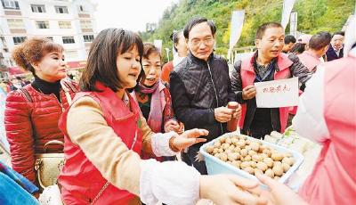 【領航新征程】農(nóng)民帶著“掃一掃”來賣山貨
