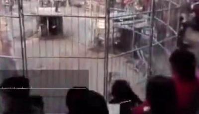 山西“老虎傷人”事件：馬戲團(tuán)違規(guī)操作被罰