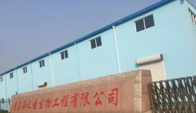 【走进青岛民营企业】海之圣：开启直销儒商新时代